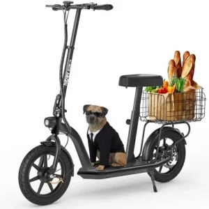 Hiboy 650W Long Range Electric Scooter with Dual Suspension, 22 MPH