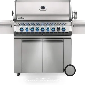 Napoleon 5-Burner Propane Gas Grill
