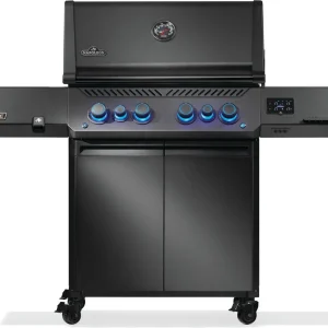 Napoleon Connected 4-Burner Gas Grill